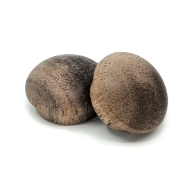  Walnut Buttons - 1/2